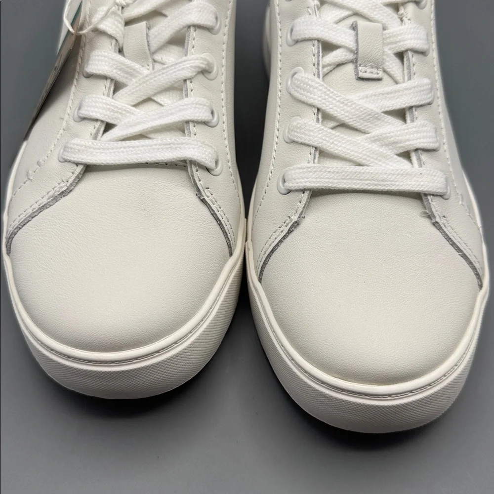 TOMS Kameron Sneakers - Picture 2 of 4